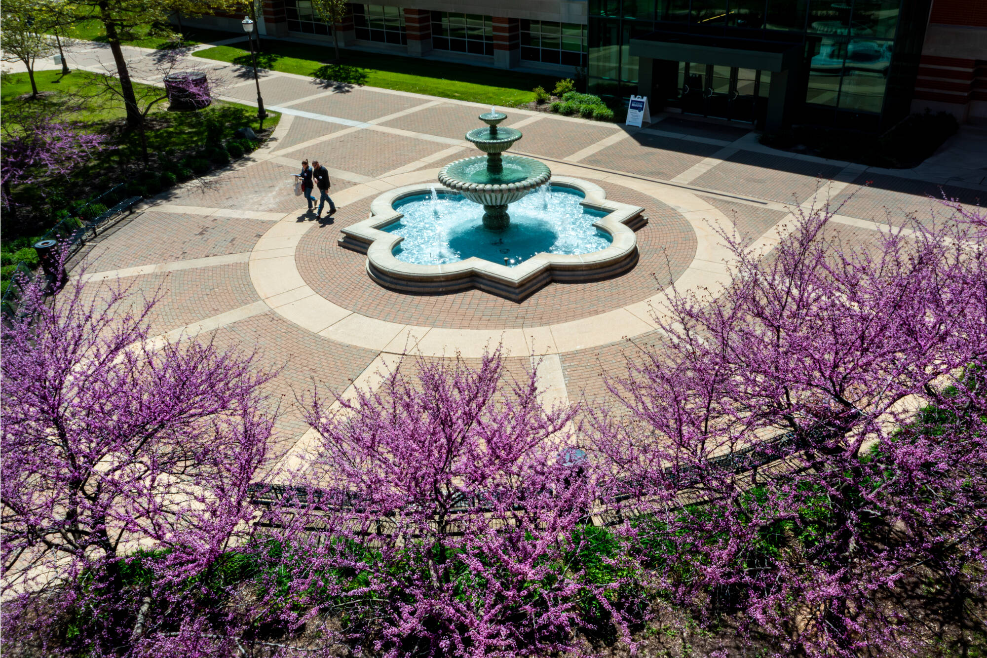 Pedestrians walk past blooming Eastern redbud trees near Lubbers Student Services Center in this image taken with a drone on May 9.
